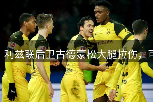 利兹联后卫古德蒙松大腿拉伤，可能影响新赛季阵容部署